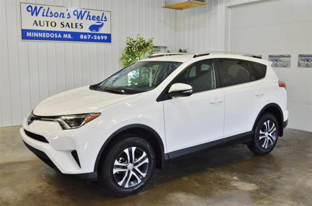 16rav4_%282%29.JPG